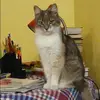 Отзыв от Нелли Владимирова